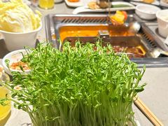 -海底捞火锅(江南盛天地店)