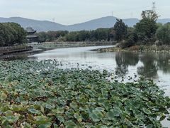 -东明山森林公园