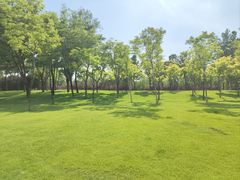 -北坞公园