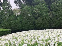 -上海市龙华烈士陵园