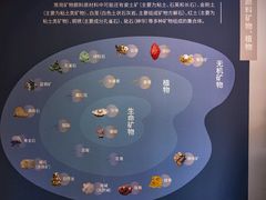 -妙应寺白塔