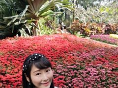 -南山植物园