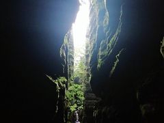 -梭布垭石林景区