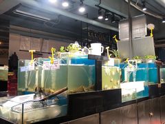 -九层海鲜塔(市南店)