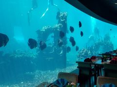 -海棠湾洲际-涛·海底餐厅·美人鱼·自助餐·海底隧道
