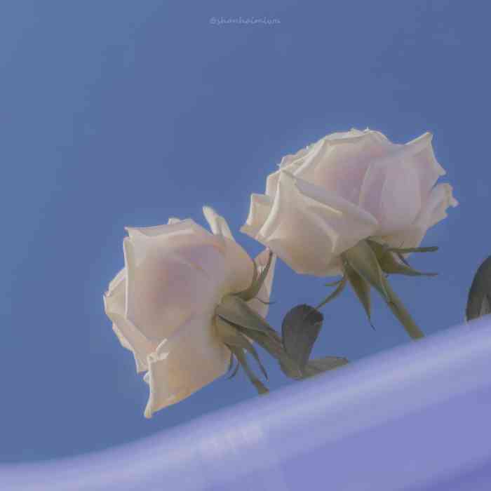 鑫海汇烤肉海鲜自助(滨江道店)