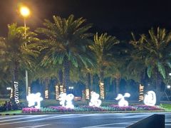 -野狸岛