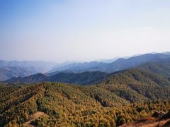 -苏木山森林公园
