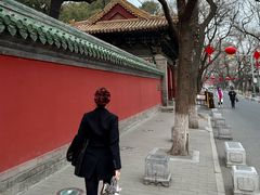 -北京国子监胡同