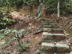 -火炉山森林公园