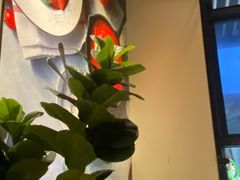 -玛尚诺意式餐厅(新达汇三林店)