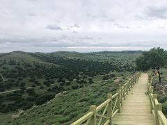 -五角枫生态旅游景区