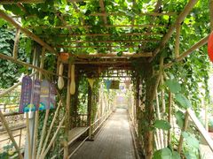 景点-观光南瓜园