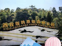 -西双版纳原始森林公园