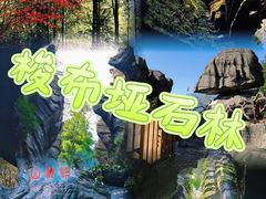 -梭布垭石林景区