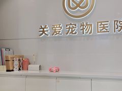-关爱宠物医院·猫科中心·消化科(滨湖万达分院)