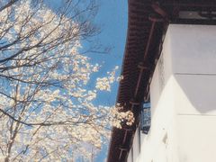 -芭夯兔·无骨兔汤锅(大融城店)