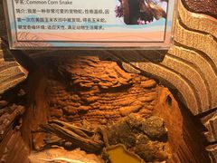 -萌宠奇缘