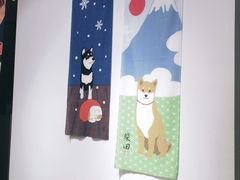 -柴迷FANS CLUB·柴犬狗咖·猫咖