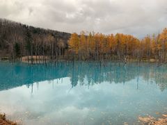 -青池