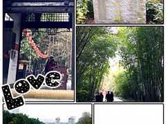 望江楼公园-望江楼公园