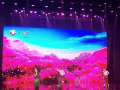 汇报演出-小荧星艺校(浦东中环分校)