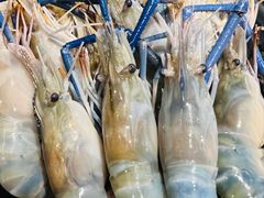 -Kingkong Buffet(The Mercury ville)