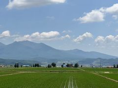 -富田农场