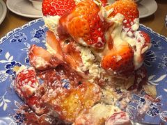 -O'eat Blossom&Pelican(深圳首店)
