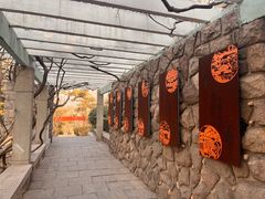 -观象山公园
