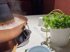 -思阁炭香火锅(学伟鑫城总店)
