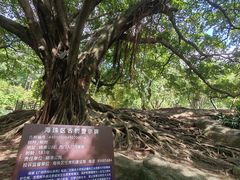 -晓港公园