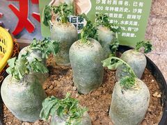 -三个渔夫·蒸汽海鲜(万德大厦店)