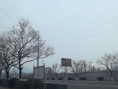 -白水寺森林公园