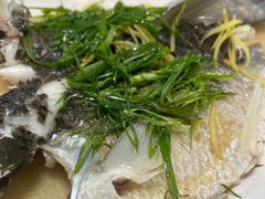 -贤鲁岛贤溪农庄