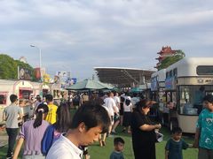 -奉贤海滩