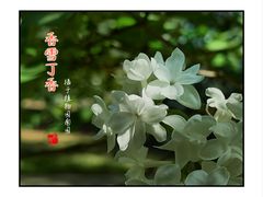 -国家植物园