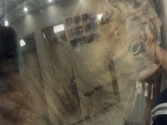 -安安宠医宠物医院·异宠·犬猫内科(岳阳分院)