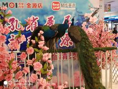 -崔勇假发