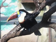 -沈阳森林动物园