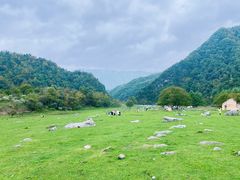 -狮子沟牧场