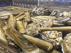 -高佳庄·舟山海鲜(海景旗舰店)