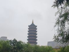 -长兴太湖图影湿地文化园