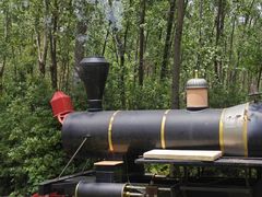 -合肥滨湖国家森林公园