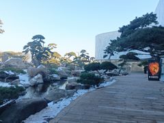 -罗红摄影艺术馆