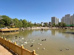 -青藏高原野生动物园