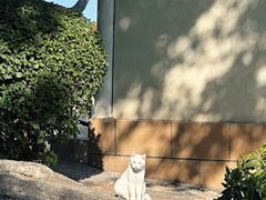 -鸿山公园