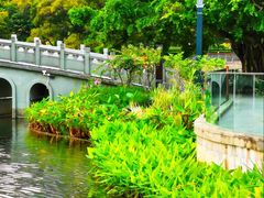 -四海公园(南山区)