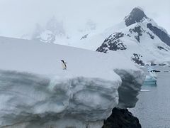 -圣保罗/瓜鲁柳斯-安德烈·弗朗哥·蒙托罗州长国际机场