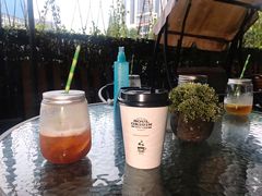 柠檬茶-柴犬高等学院·狗咖·柴犬售卖·宠物训练